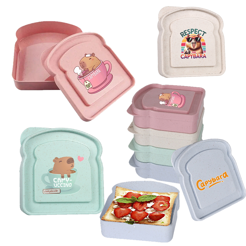 카피바라 샌드위치 음식 보관 케이스 컨테이너 샐러드 과 - Food Storage Time 리뷰 및 가격