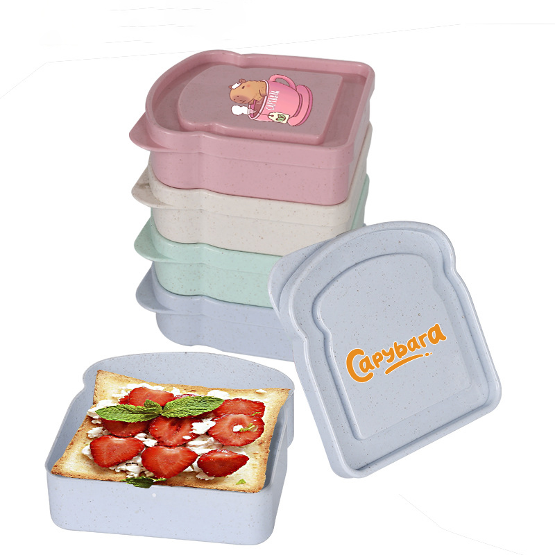 카피바라 샌드위치 음식 보관 케이스 컨테이너 샐러드 과 - Food Storage Time 리뷰 및 가격