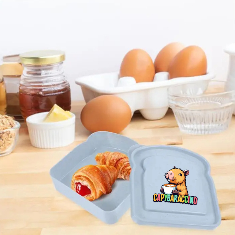 카피바라 샌드위치 음식 보관 케이스 컨테이너 샐러드 과 - Food Storage Time 리뷰 및 가격