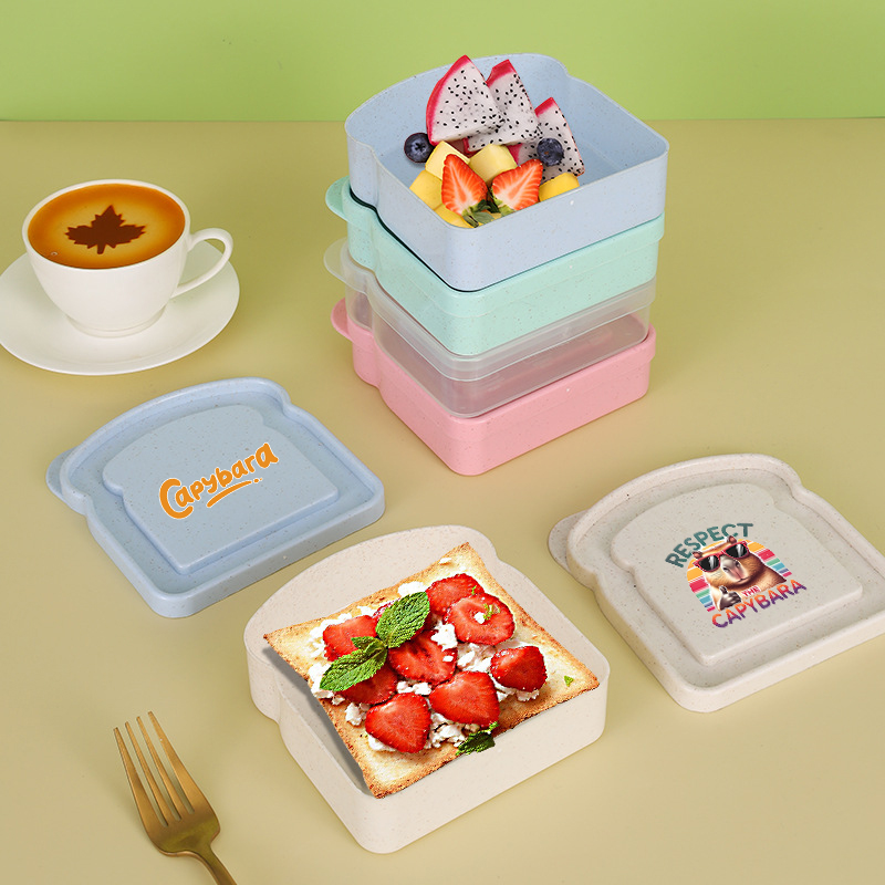 카피바라 샌드위치 음식 보관 케이스 컨테이너 샐러드 과 - Food Storage Time 리뷰 및 가격